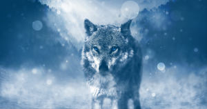 Avatar de Morgan